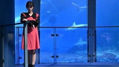 Assistir Kamen Rider Temporada 32 Episódio 32 Online em HD