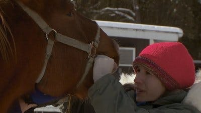 Assistir Clínica Animal com Dr. Pol Temporada 11 Episódio 10 Online em HD