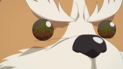 Assistir Oda Cinnamon Nobunaga Temporada 1 Episódio 9 Online em HD