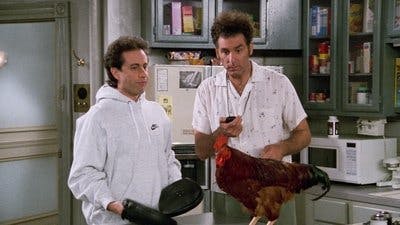 Assistir Seinfeld Temporada 8 Episódio 11 Online em HD