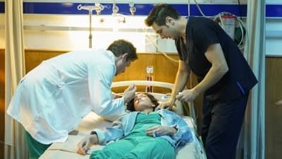 Assistir The Town Doctor Temporada 2 Episódio 8 Online em HD