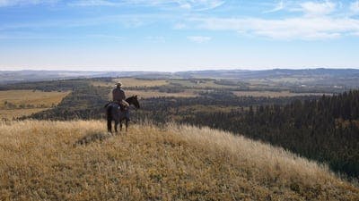 Assistir Heartland Temporada 18 Episódio 3 Online em HD