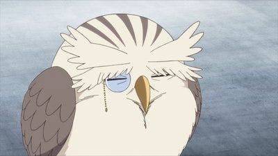 Assistir Youkai Apartment no Yuuga na Nichijou Temporada 1 Episódio 11 Online em HD