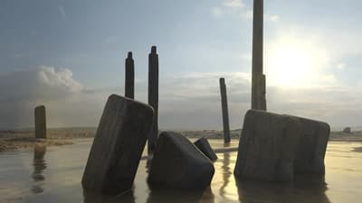 Assistir Segredos do Fundo do Mar Temporada 4 Episódio 8 Online em HD