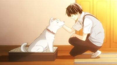 Assistir March comes in like a lion Temporada 2 Episódio 22 Online em HD