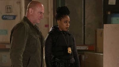 Assistir Law & Order: Crime Organizado Temporada 2 Episódio 18 Online em HD