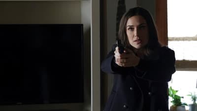 Assistir Lista Negra Temporada 8 Episódio 14 Online em HD