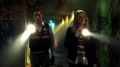 Assistir CSI: Investigação Criminal Temporada 13 Episódio 21 Online em HD