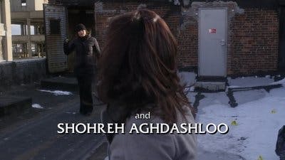 Assistir Lei & Ordem: Unidade de Vítimas Especiais Temporada 12 Episódio 14 Online em HD