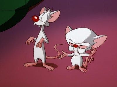 Assistir Pinky e o Cérebro Temporada 3 Episódio 34 Online em HD