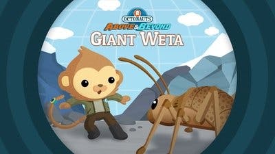 Assistir Octonautas: Missão Planeta Temporada 1 Episódio 17 Online em HD