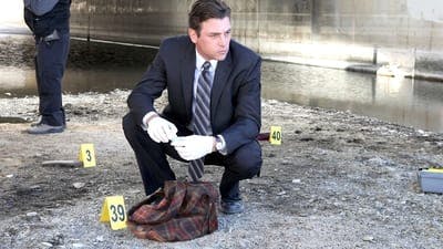 Assistir Law & Order: LA Temporada 1 Episódio 2 Online em HD