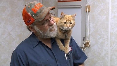 Assistir Clínica Animal com Dr. Pol Temporada 16 Episódio 5 Online em HD