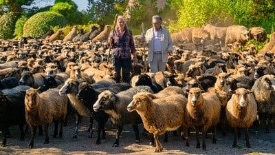 Assistir O Viajante Relutante, com Eugene Levy Temporada 2 Episódio 4 Online em HD