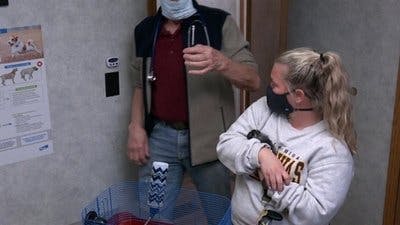 Assistir Clínica Animal com Dr. Pol Temporada 20 Episódio 9 Online em HD