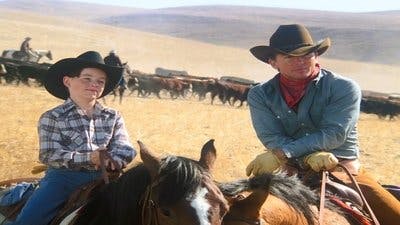 Assistir Dallas Temporada 14 Episódio 16 Online em HD