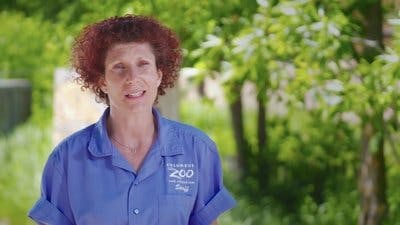 Assistir Os Segredos do Zoológico Temporada 3 Episódio 6 Online em HD