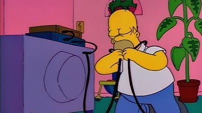 Assistir Os Simpsons Temporada 2 Episódio 13 Online em HD