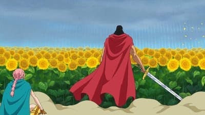 Assistir One Piece Temporada 17 Episódio 696 Online em HD