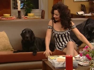 Assistir The Nanny Temporada 5 Episódio 9 Online em HD