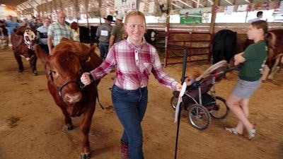 Assistir Clínica Animal com Dr. Pol Temporada 24 Episódio 10 Online em HD