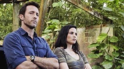 Assistir Havaí Cinco-0 Temporada 10 Episódio 3 Online em HD