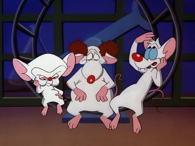 Assistir Pinky e o Cérebro Temporada 3 Episódio 3 Online em HD