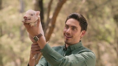 Assistir O Babá Temporada 2 Episódio 2 Online em HD
