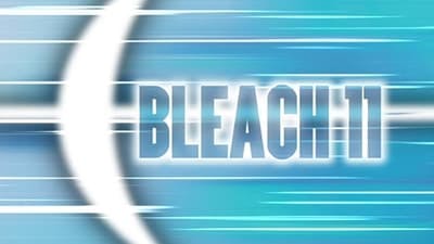 Assistir Bleach Temporada 1 Episódio 11 Online em HD