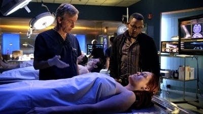 Assistir CSI: Nova York Temporada 7 Episódio 13 Online em HD