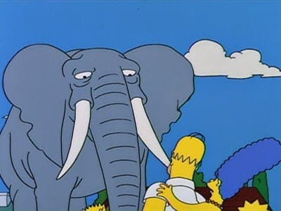 Assistir Os Simpsons Temporada 5 Episódio 17 Online em HD