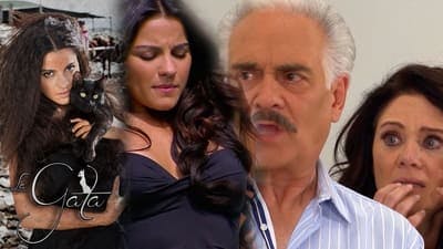 Assistir A Gata Temporada 1 Episódio 43 Online em HD