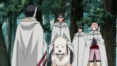 Assistir Naruto Shippuden Temporada 10 Episódio 212 Online em HD