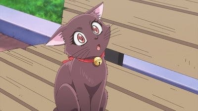 Assistir As Novas Super Gatinhas Temporada 1 Episódio 10 Online em HD
