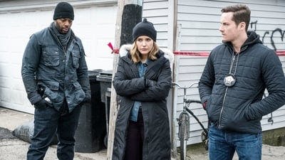 Assistir Chicago P.D.: Distrito 21 Temporada 3 Episódio 16 Online em HD