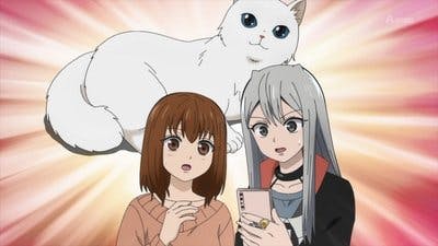 Assistir Kawaisugi Crisis Temporada 1 Episódio 10 Online em HD