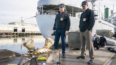 Assistir NCIS: Investigação Naval Temporada 20 Episódio 13 Online em HD