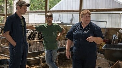 Assistir Clínica Animal com Dr. Pol Temporada 16 Episódio 8 Online em HD