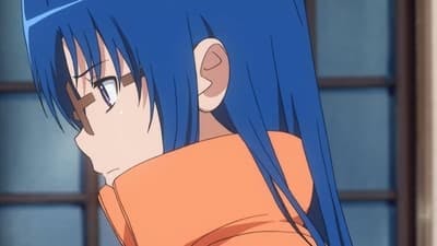 Assistir Toradora! Temporada 1 Episódio 23 Online em HD