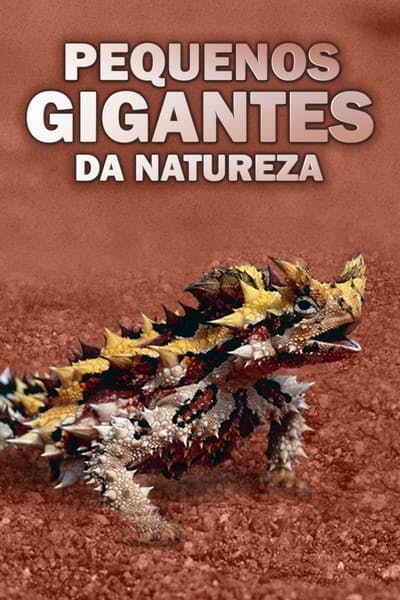 Assistir Pequenos Gigantes da Natureza Temporada 1 Episódio 1 Online em HD