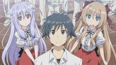 Assistir Mayoi Neko Overrun Temporada 1 Episódio 11 Online em HD