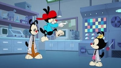 Assistir Animaniacs Temporada 2 Episódio 29 Online em HD