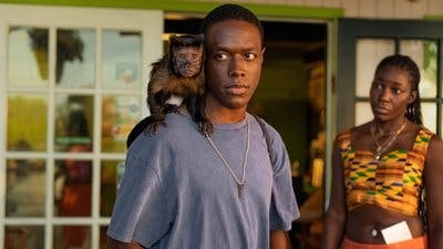 Assistir Bad Monkey, de Carl Hiaasen Temporada 1 Episódio 3 Online em HD
