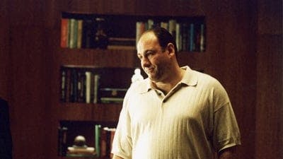Assistir Família Soprano Temporada 4 Episódio 11 Online em HD