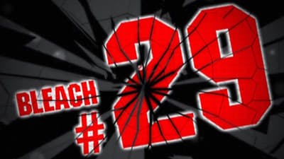 Assistir Bleach Temporada 1 Episódio 29 Online em HD