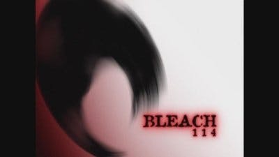 Assistir Bleach Temporada 1 Episódio 114 Online em HD