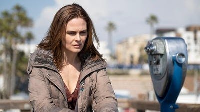 Assistir Animal Kingdom Temporada 4 Episódio 9 Online em HD