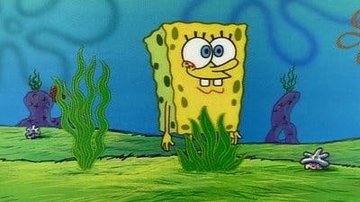Assistir Bob Esponja Calça Quadrada Temporada 1 Episódio 18 Online em HD
