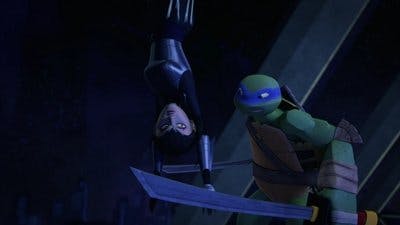 Assistir As Tartarugas Ninjas Temporada 4 Episódio 17 Online em HD