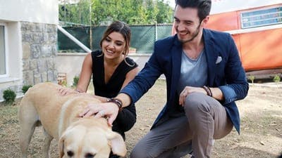 Assistir Aşk Laftan Anlamaz Temporada 1 Episódio 13 Online em HD